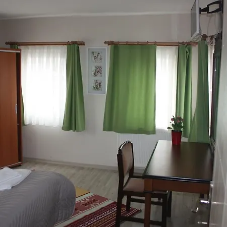 Karinca Istambul