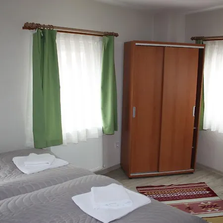 Karinca 3*