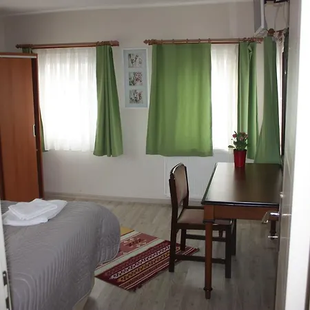 Karinca Istanbul